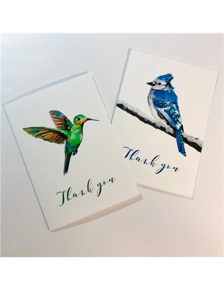 Set de 5 Tarjetas Pájaros con sobre