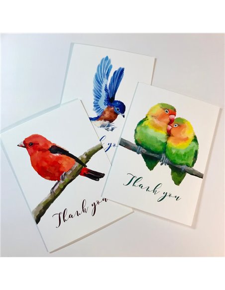 Set de 5 Tarjetas Pájaros con sobre