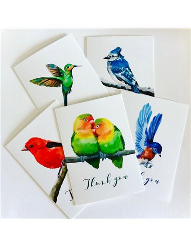 Set de 5 Tarjetas Pájaros con sobre