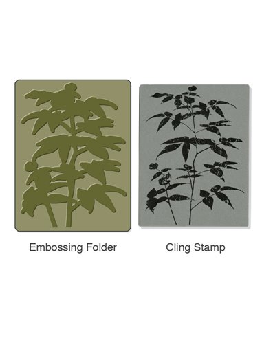 Set Carpeta de Embossing y Sello Artistic Fern