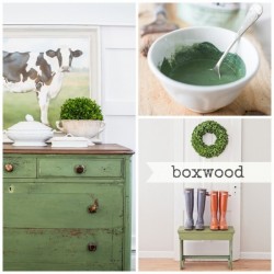 Milk Paint Boxwood