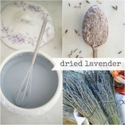 Milk Paint Dried Lavender Tester